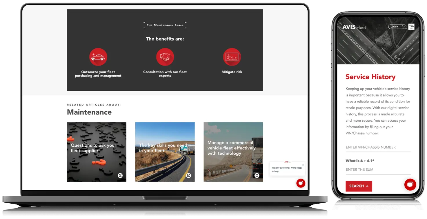 website example 5