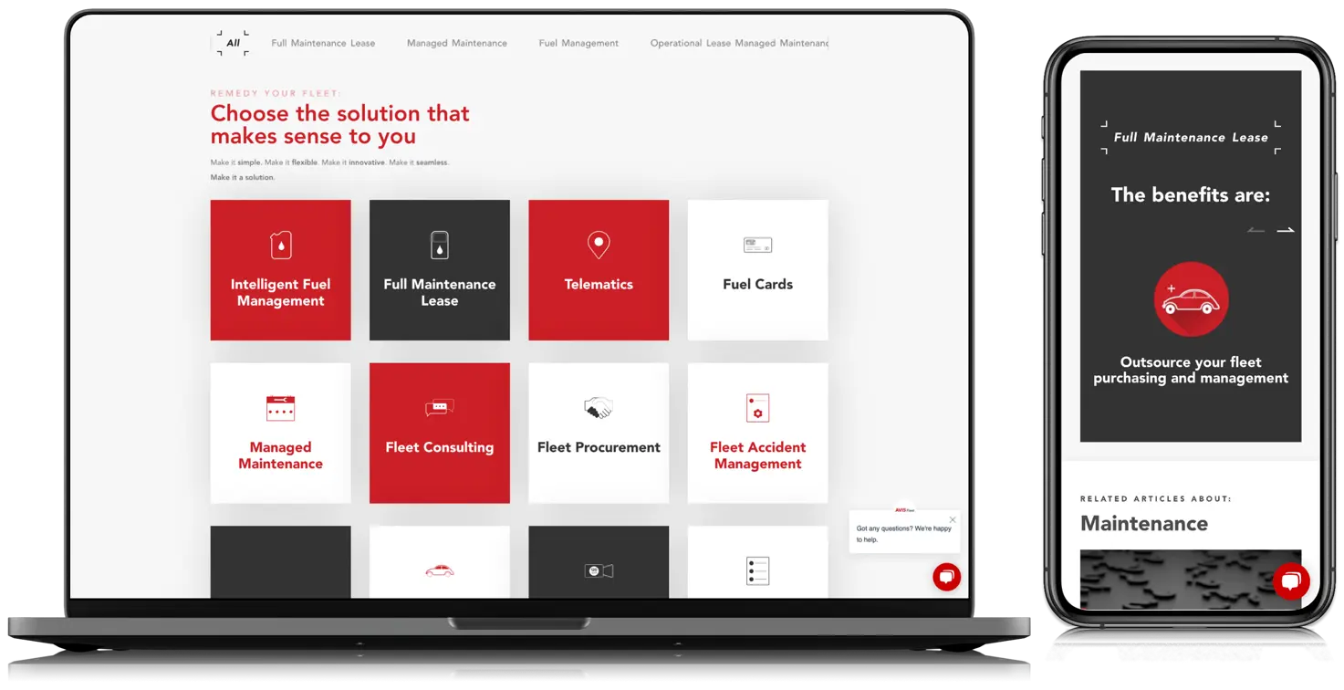 website example 2